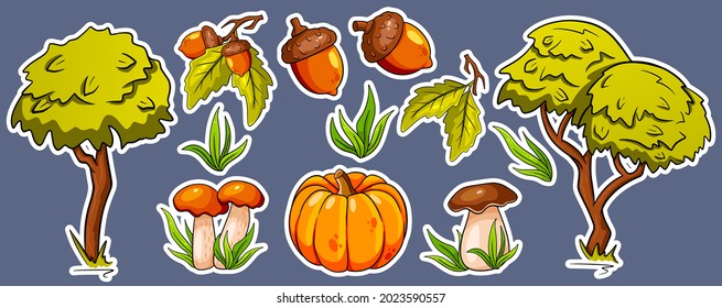 Autumn set. Collection of autumn items. Stickers. Mushrooms, pumpkin, acorns, grass, oak leaves, trees. Cartoon style. Vector illustration for design and decoration.