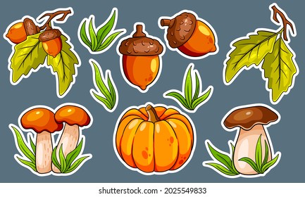 Autumn set. Collection of autumn items. Stickers. Mushrooms, pumpkin, acorns, grass, oak leaves. Cartoon style. Vector illustration for design and decoration.