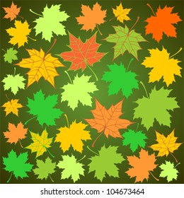 Autumn Set of Color Maple Leaves on Dark Green Background, Vector Version