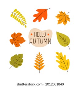  Autumn set colorful fallen leaves with lettering in the center on a white background. Modern vector design in flat style .