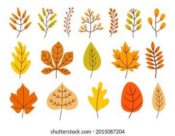 Autumn set colorful fallen leaves and berries isolated on  white background. Modern vector design in flat style .