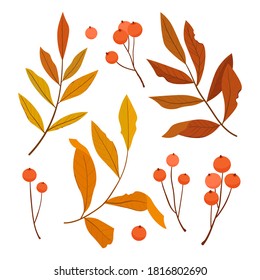Autumn Set of colorful leaves. Vector illustration.