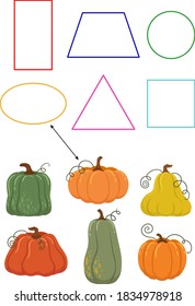 autumn set colorful pumpkins form