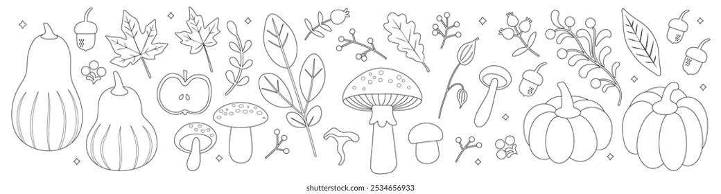 Autumn Set Coloring Page with Nature Elements. Vector illustration. Autumnal nature elements: pumpkins, mushrooms, leaves, and acorns. Perfect for seasonal coloring activities