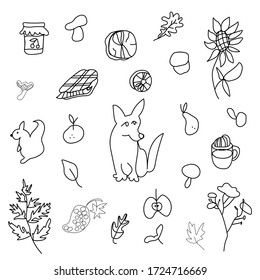Autumn set with corgi dog,mushrooms,leaves,cappuccino, squirrel,plaid,fern,jar with jam,mandarin,pear, firewood,sunflower.Clip art black line in doodle style. Design for card,packages,web.