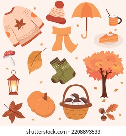 Autumn set with cozy elements like sweater. warm socks, pumpkin, leaves, coffe and lantern