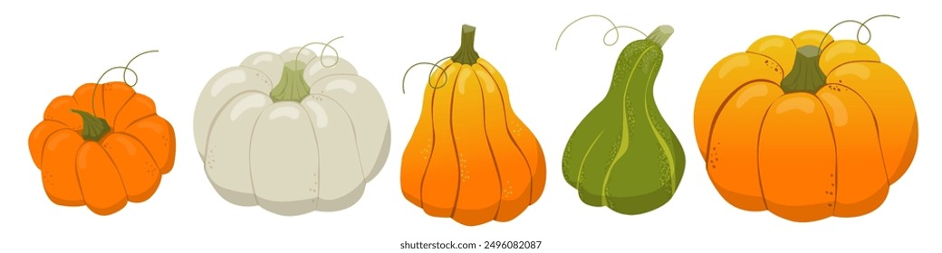 Autumn set of cute and cozy pumpkins - design elements. Simple set of drawn pumpkins. Fall, Thanksgiving, pumpkin season.