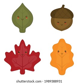 Autumn set with cute leaves and acorn isolated on white background. Vector illustration.