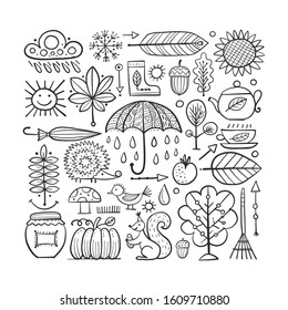 Autumn set, design elements for your design. Vector illustration