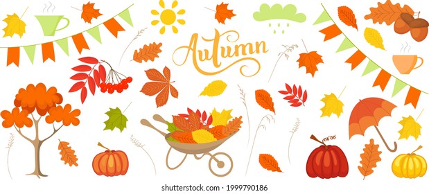 Autumn set for design, holiday in October. Pumpkins and leaves, trees and grass, umbrella and sun - in orange and green colors.