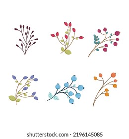 Autumn set with different berries. Isolated on the white background.Vector illustration