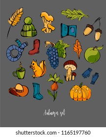 Autumn set of different colorful elements. Hat, mushroom, acorn, umbrella, pumpkin, grapes, rubber boots, squirrel,apple,cup,leaves,book.
