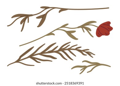 Conjunto de otoño de diferentes ramitas con hojas. ilustración botánica dibujada a mano verde. Hojas de plantas caducifolias. Colección de Elementos de diseño botánicos. Herbario de otoño de Ilustración vectorial colorida