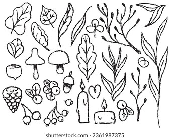 Autumn set  doodle of autumn elements on a transparent background, line drawn with a brush, for packaging and textile design. Leaves, mushrooms, berries, candles, branches