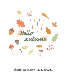 Autumn set. Drawn leaves, acorns, berries. Autumn theme for postcards, posters, advertising.