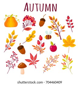 Autumn set of elements in the cartoon style. Collection of autumnal branches, berries, animals and mushrooms. Vector illustration in yellow, red and orange colors