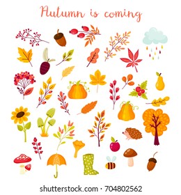 Autumn set of elements in the cartoon style. Collection of autumnal branches, berries, animals and mushrooms. Vector illustration in yellow, red and orange colors