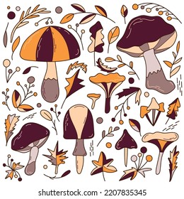 Autumn set of elements of mushrooms, branches, leaves and berries. Hand drawn baby vector illustration in doodle style. Design for cards, stickers, prints