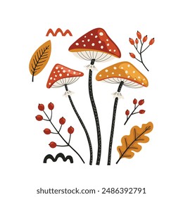 autumn set of elements: mushrooms, leaves and berries. Vector illustration in doodle style, Hand drawn