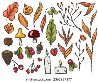 Autumn set of autumn elements on a transparent background, line drawn with a brush, for packaging and textile design. Vector graphics. Leaves, mushrooms, berries, candles, branches