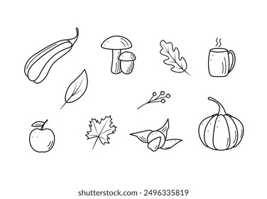 Autumn set of elements. Vector illustration fall icon doodle style. Items of tree leaves, hot tea pumpkin squash