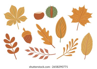 Autumn set of fall leaves from different trees oak, maple, chestnut. Simple, yellow, red, orange fall leaf set for pattern, banner, sticker, Hello autumn card. 