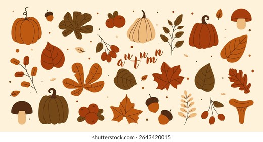 Outono definido. Abóboras planas, cogumelos, folhas, bagas, ramos, bolotas. Gráficos web da temporada de outono e temas de design acolhedores. Ilustração vetorial