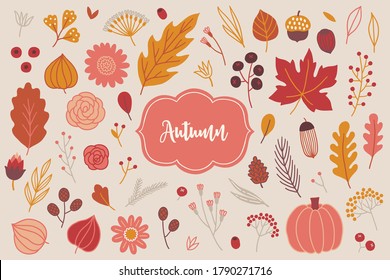 Autumn set - flowers, rose, cone, acorn, berry, pumpkin, fir, branch, oak and maple leaves isolated on light background. Perfect for seasonal holidays, greeting card. Hand drawn vector illustration