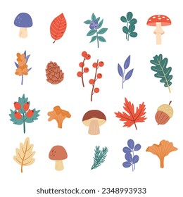 Autumn set with forest plants, mushrooms, cones, twigs, leaves on white background. Cute doodle hand drawn illustration.