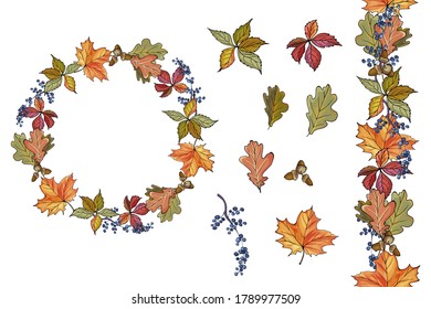 Autumn set of frame, seamless border, leaves, acorns, wild grape. Isolated on white. Hand drawn. For the design of autumn sales, thanksgiving, greeting cards, invitations. Vector stock illustration.