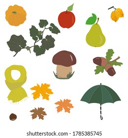 Autumn set of fruits and leaves. Isolated elements apple, pear, pumpkin, acorn, mushroom, umbrella and scarf on a white background. Vector image.