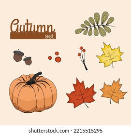 autumn set, autumn greeting card with orange pumpkin, maple leaves, acorns and rowan, cozy fall, halloween decoration, thanksgiving day, september, october, november, welcome autumn mood, poster
