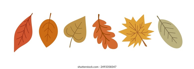 Conjunto de otoño de Elementos de diseño dibujados a mano. Conjunto de hojas simples. Día de Acción de Gracias, concepto de otoño.