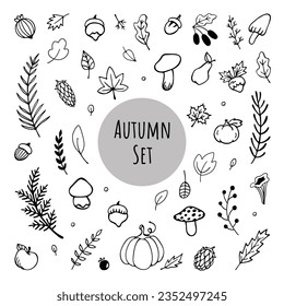Autumn Set. Hand drawn set of doodles: leaves, branches, berries, fruits, vegetables, mushrooms, acorns. Isolated on white background. Vector Illustration. EPS10