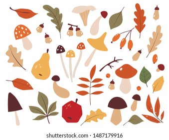 Autumn set, hand drawn elements. Botanical leaves, flowers, berries,mushrooms, trees.Seasonal banner. September fall. October party. November sale. vector illustration.