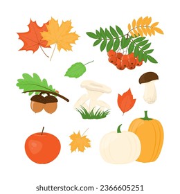 Autumn set of harvest elements and leaves