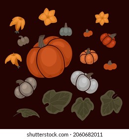 Conjunto de otoño con la ilustración de varias calabazas, flores y follaje . Colección vectorial plana con ilustración de verduras y hojas. Composición de color cálido con cosecha de jardín