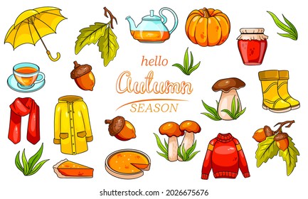 Autumn set. Large collection of autumn items. Pumpkin, tea, raincoat, scarf, boots, mushrooms, acorns in cartoon style. Vector illustration for design and decoration.