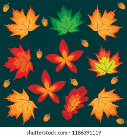 autumn set leaves