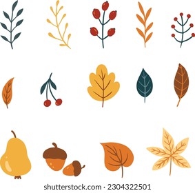Autumn set of leaves of berries