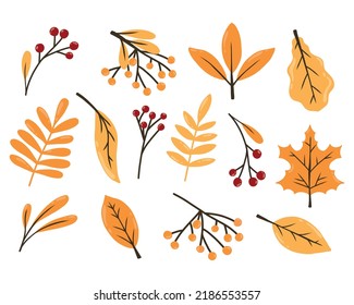 Autumn set. Autumn leaves berries. Drawn style. Collection of autumn plants. Vector illustration.