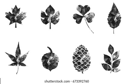Autumn set with leaves, berries, fir cones, nuts, mushrooms and acorns. Detailed forest botanical elements for decoration. Vintage fall seasonal decor. Oak, maple, chestnut leaf drawing.