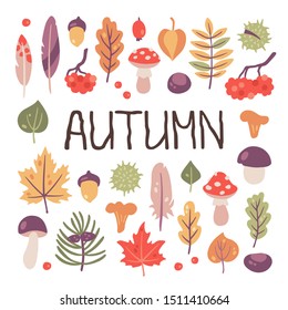 Autumn set of leaves, berries and mushrooms. Forest seasonal collection. Hand drawn vector isolated illustration on white background.