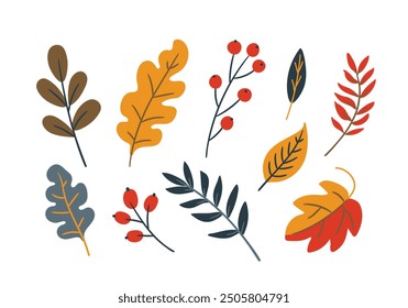 Conjunto de otoño con hojas y bayas. Ilustración vectorial en estilo doodle, estilo plano