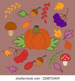 El otoño. Hojas, ramas de árboles otoñales, ceniza de montaña, mora, calabaza, setas, roble, bellotas. Ilustración plana vectorial.