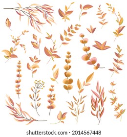 Conjunto otoñal de hojas y ramas. Colección de varios elementos vegetales para la decoración. Ilustración vectorial.