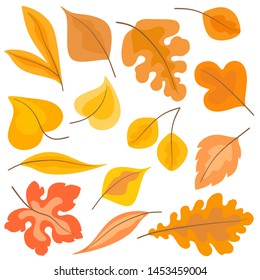 Autumn set of leaves in cartoon style. Vector isolates on a white background.