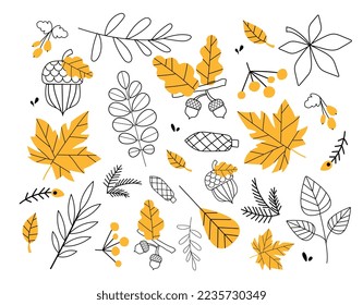 Autumn set leaves. Collection of graphic elements for website. Foliage and nuts, fall. Minimal style stickers for autumn season. Cartoon flat vector illustrations isolated on white background