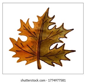 Autumn set of leaves of different trees. Yellow, red, orange, maple, birch, oak. Hand-painted, watercolor. Vector isolated objects.