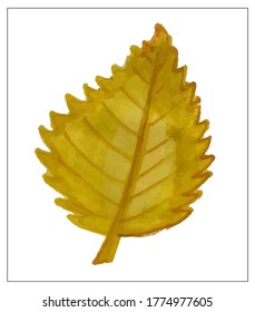 Autumn set of leaves of different trees. Yellow, red, orange, maple, birch, oak. Hand-painted, watercolor. Vector isolated objects.